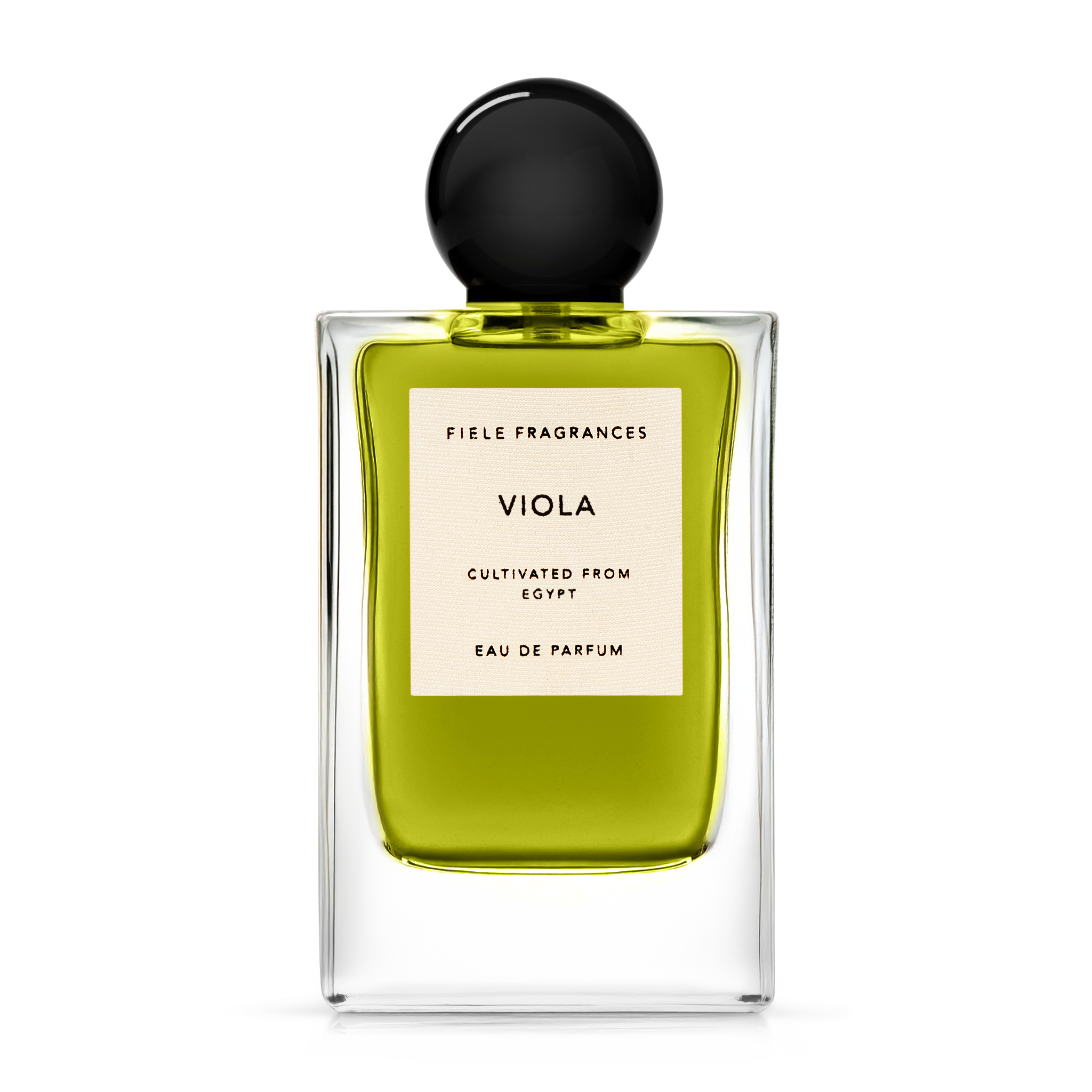 VIOLA